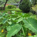 여주-0082 이미지