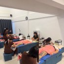 와우(WOW) | 마사지 추천 2026 최신｜와우토탈케어(WOW Total Care) 파타야 마사지 후기, 가격, 위치, 예약 완벽 가이드