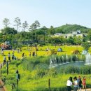 중랑가족캠핑장 이미지