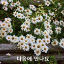 [방송마감] 짧은 만남 긴여운 고마웠어요 이어서 주휴애가님과요 이미지