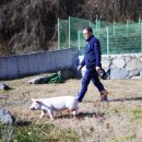 부경축산 이미지