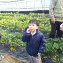 호산나농장 이미지