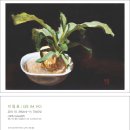 준갤러리 이미지