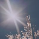 어린이대공원 제5호 이미지