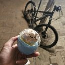 삼유교 | 서당 개 삼년이면 풍월..월월! 월! 월월월!!🐕🐕🐕