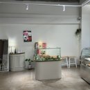 인생과자점Lifebakery