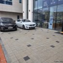 대형애견 | 속초 애견동반 대형카페 청초담 후기 | 주차 메뉴 분위기 총정리