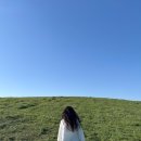 세화 교차로 이미지