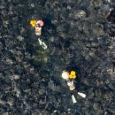 육지&해녀 이미지