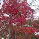 갓바위지구 광장 이미지