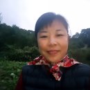 동아농원 이미지