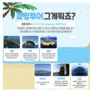다이버스액션 | 제주도/에코다이버스 호핑투어 스노클링 후기