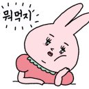 누들꼬마김밥 이미지