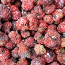 이루농장 이미지