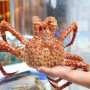 황제포차 이미지