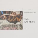 동방양고기 | [비주얼이 압도하는 양다리 바베큐] 떳다 동방양고기 후기
