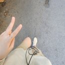 한세탁 | 야무진 연휴 일상글 + 악마는 프라다를 입는다2 솔직 후기