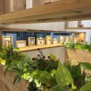 묘연고양이병원 이미지