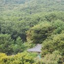 중앙상사 | 서울개인택시 동남상사 오늘시세, 지금 확인해야 할 이유는?