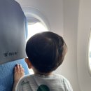 표선형아집 | 네 살 아이와 단 둘이 제주도
