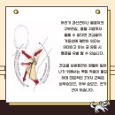 피지컬골프 이미지