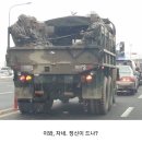 이림 Daum카페