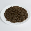 영천별빛굼벵이농장 이미지