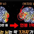 머니테라피 이미지