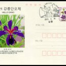 강릉가설 이미지