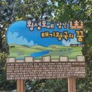 제57차 원주산수산악회 정기산행-횡성 호수길 코스 이미지