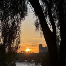 김밥옆구리 이미지