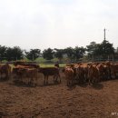 만희농장 이미지