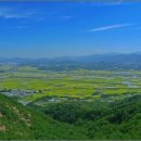 금지면 금정마을 이미지