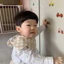 소미치과 Daum카페