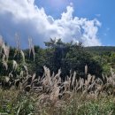 팔공산 하늘정원 이미지