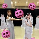 디엠빅 | 250809 AKB48 66th 싱글 <Oh My Pumpkin!> 도쿄 빅사이트 악수회 - 치바 에리이 후기.