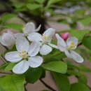 부평공원 이미지