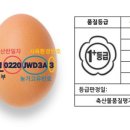 김동진농장 이미지