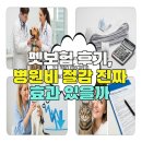 명심축산 | 펫보험 후기, 병원비 절감 진짜 효과 있을까