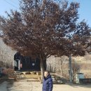 문창닭집