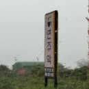 돌이된 며느리+강아 | 제대로된 제주 고기국수를 맛보고 싶다면? 면주막 제주본점으로!