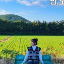 제주무화펜션 이미지