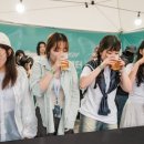 민트 이미지