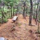 감골공원길 이미지