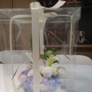 NUTTY MELLOW 이미지