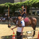 한솔고등학교 이미지