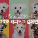 해피독 이미지