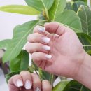 네일 더 예쁜 이미지