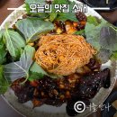 2196 | 제주 동쪽 필수 코스! 블루리본 받은 '소금바치 순이네' 돌문어볶음 웨이팅 &amp; 포장 후기까지!