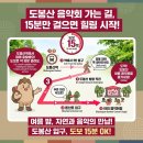 도봉산입구상가연합회 | 도봉구 도봉산 여름 음악회 도봉산 입구, 무더위 피할...정말 괜찮을까? 주말에 직접 다녀온 솔직 후기